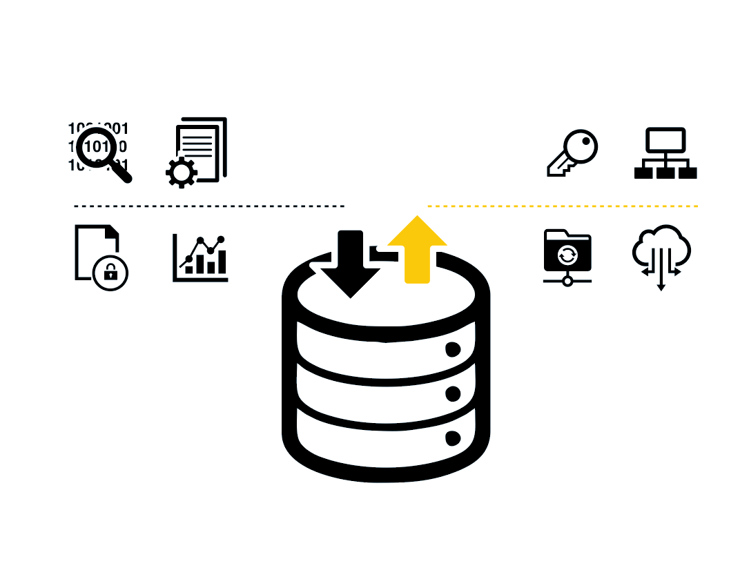 Gobernanza de datos: Gobernando los datos corporativos